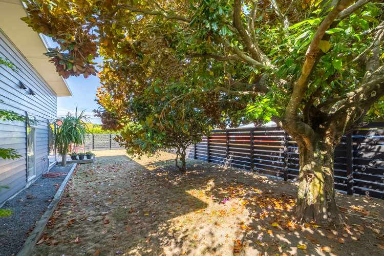 43 Sackville Street Martinborough_6