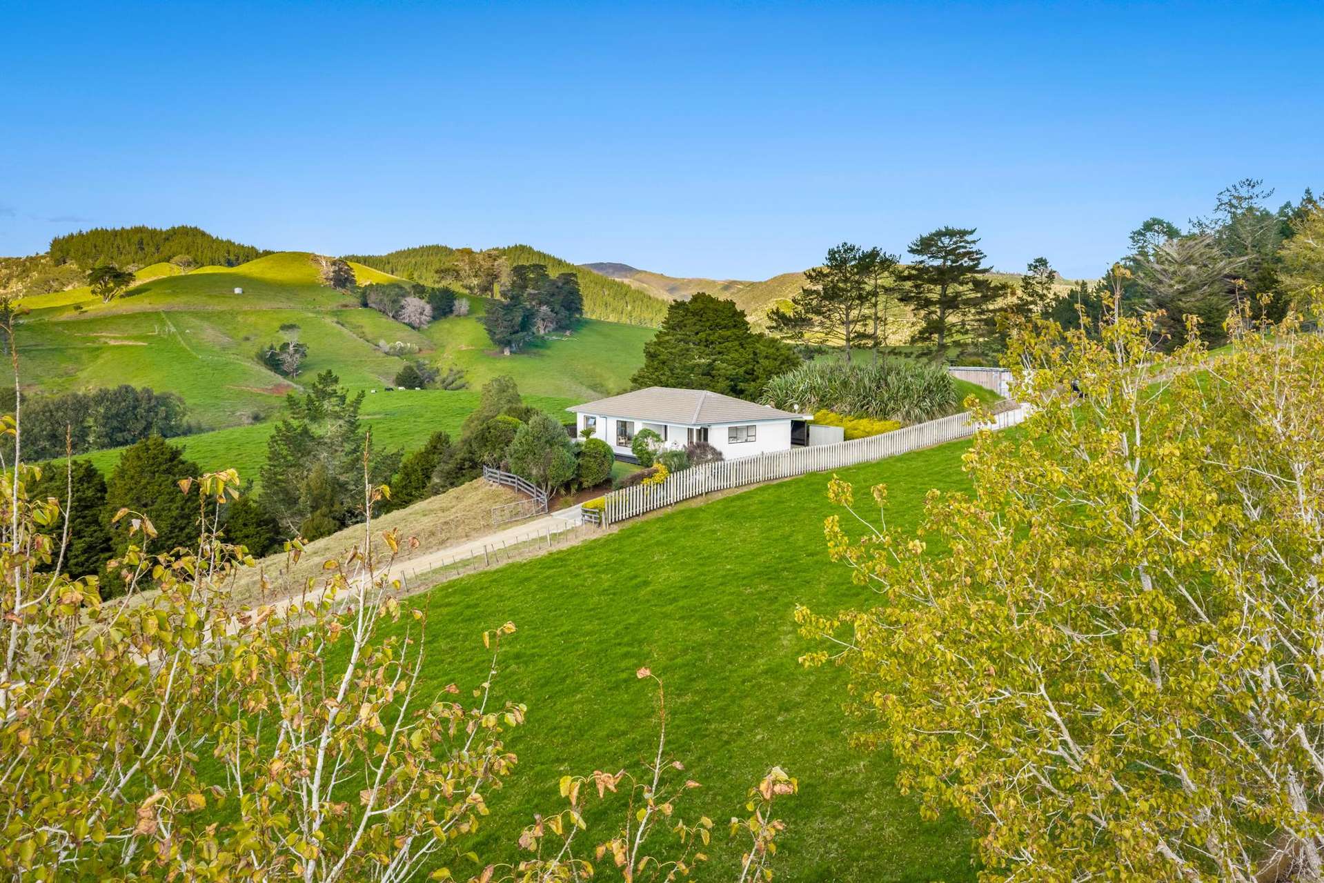 215 Wayby Station Road Wellsford_0