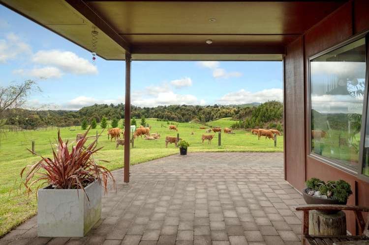 49C Olds Road Ngongotaha Valley_22