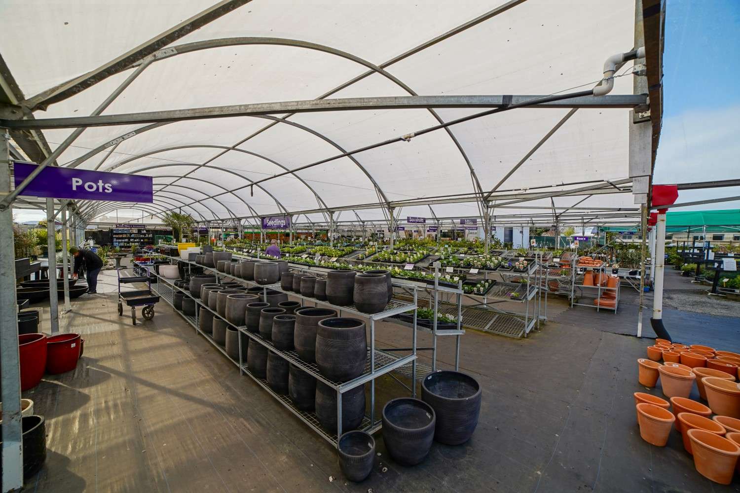 Gray Floral  Nursery and Garden Centre in Marlborough, NZ