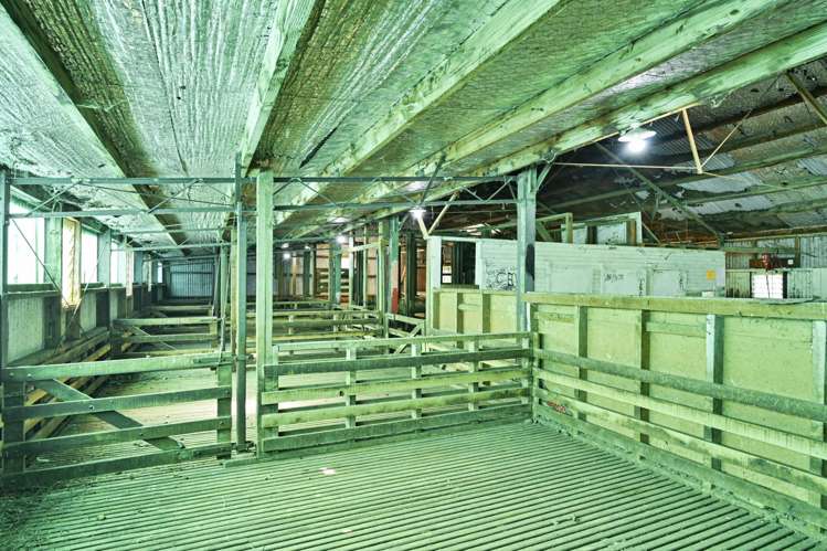 Lot 4 Old Coach Road Te Pohue_7