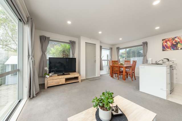 39b Mexted Crescent Porirua East_1