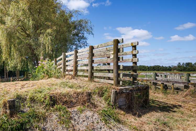 571 Kairanga Bunnythorpe Road Milson_8