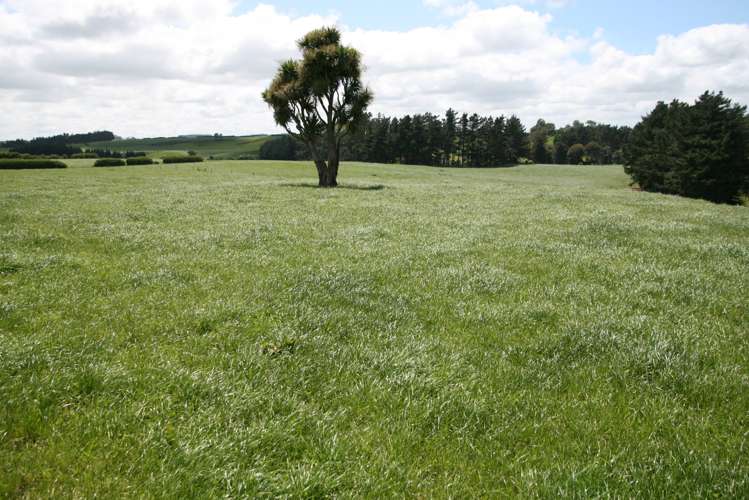 178 Omahuru Road Okaiawa_6