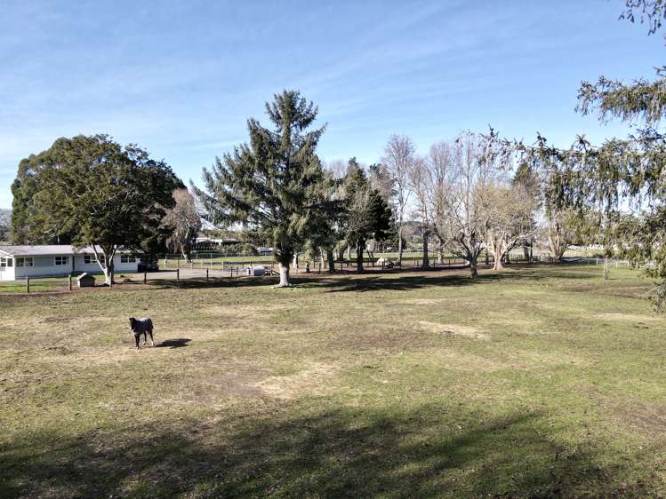 97 Old Taupo Road Arapuni_5