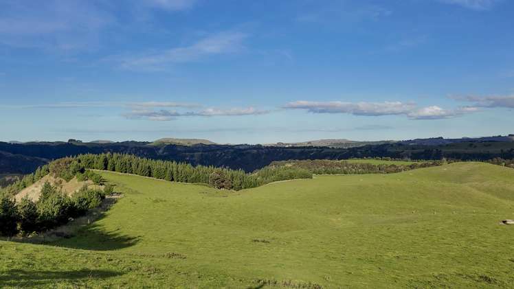 500 Willowford Road Waiwhare_21