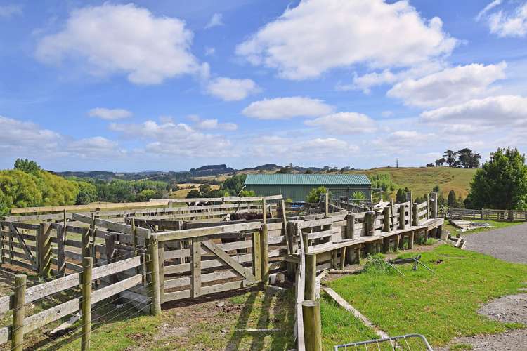 119 Worker Road Wellsford_8