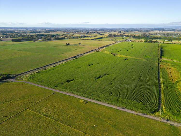 Mātangi Development, Rangitikei Line and Flygers Line Palmerston North_3