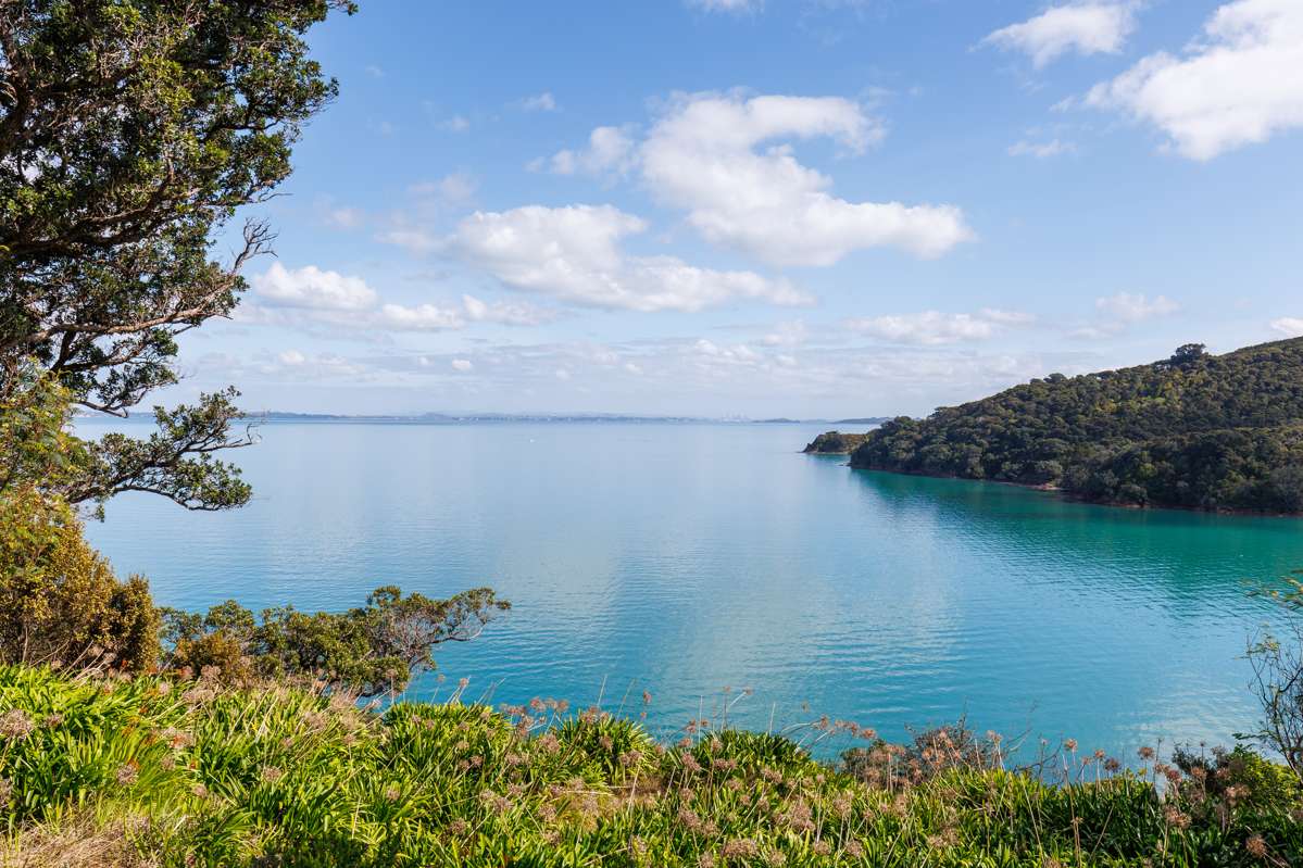12 Pohutukawa Avenue_5