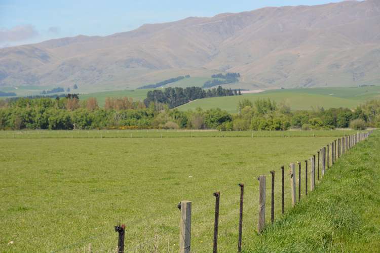 311 Hamilton Road Fairlie_2