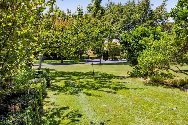 76 Wills Road Bell Block_49