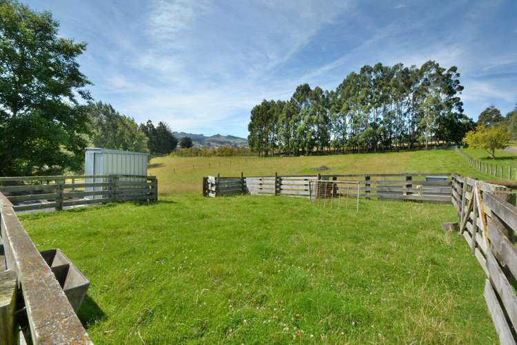 27 Weir Street Green Island_24