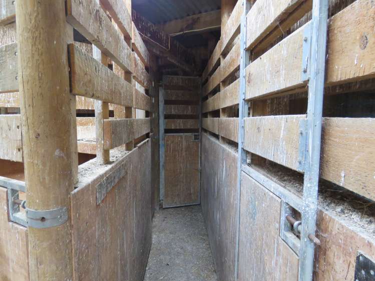 146 Elgin Road Elgin_17