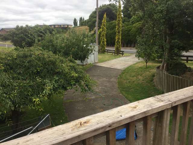 5 Thomson Avenue Otorohanga_3