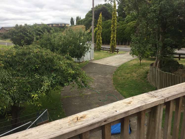 5 Thomson Avenue Otorohanga_3