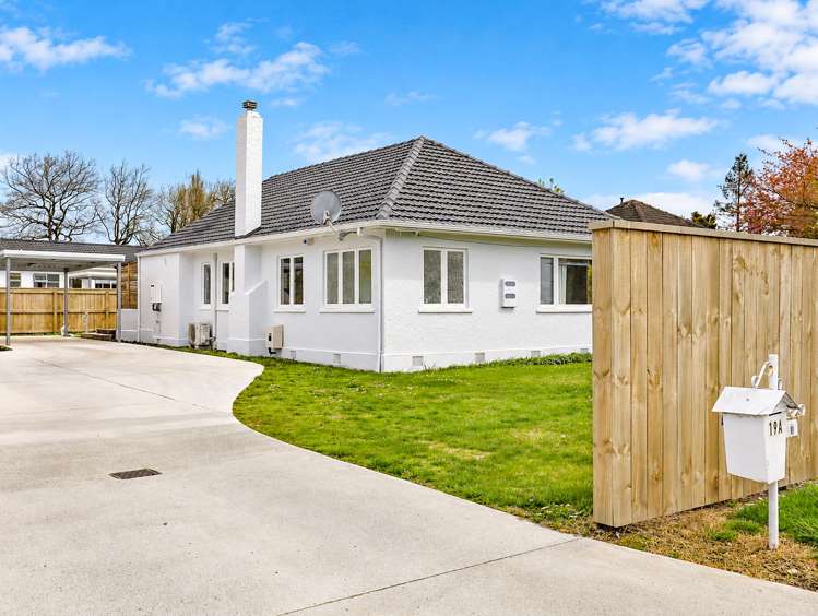 19 Shirley Street_0