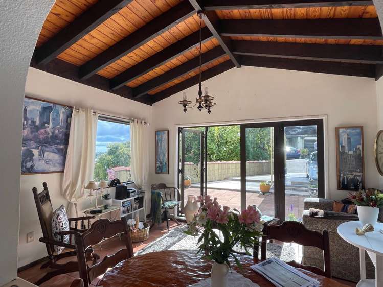 87 Princess Road Bellevue_9