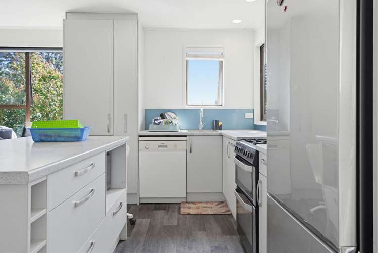 9 Panzic place Glen Eden_16