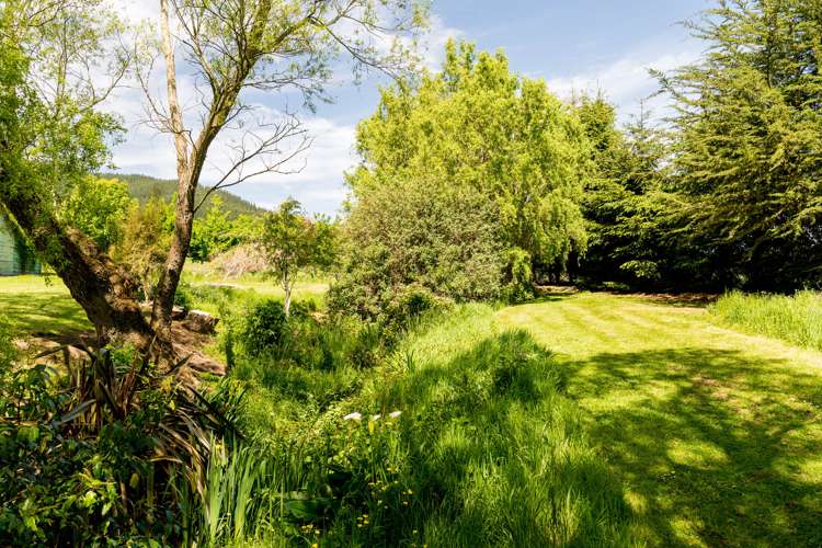 497 Waihola Highway Milton_31