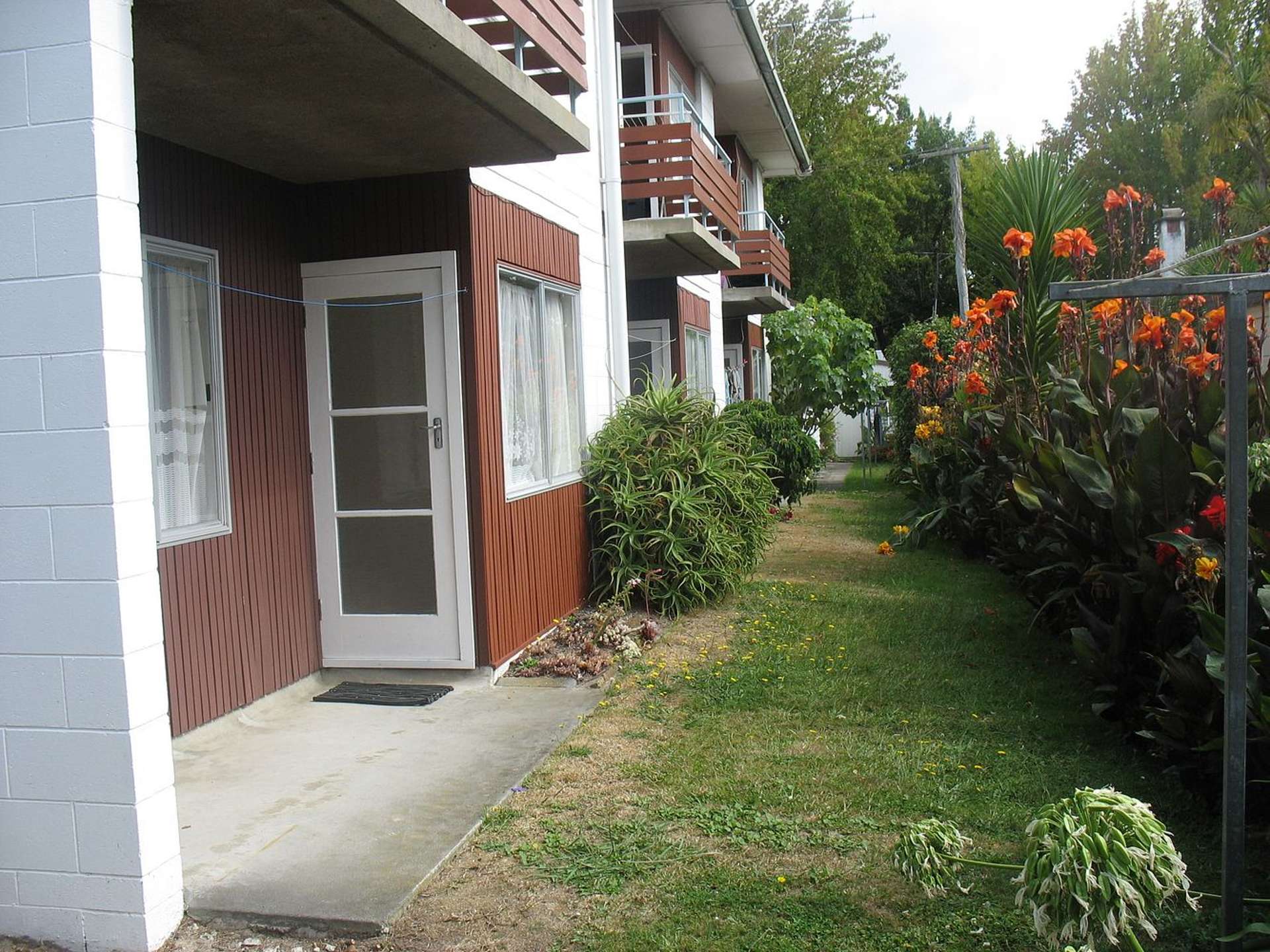 5/6 Stanley Street Claudelands_0