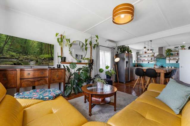 6A Dunlop Road Te Puke_1