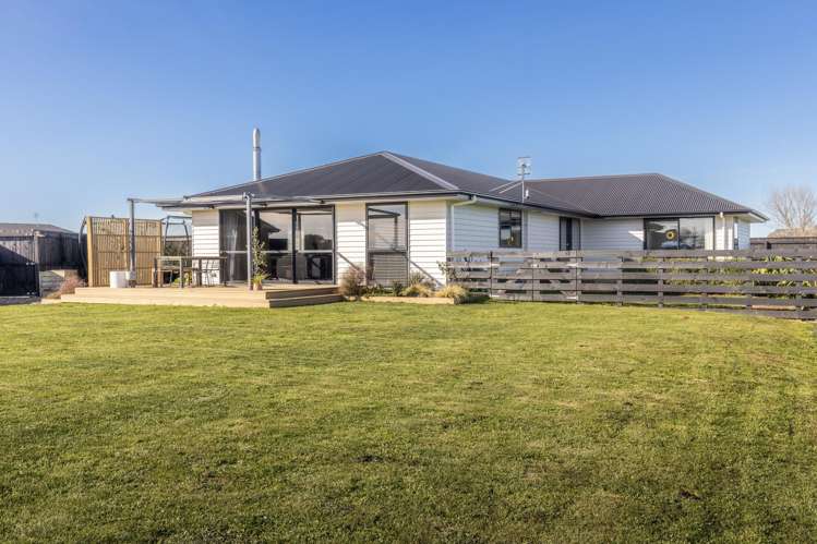 39 George Street Bulls_34