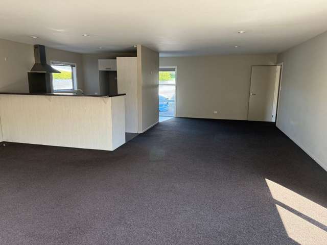 2A Carvell Street Blenheim_4
