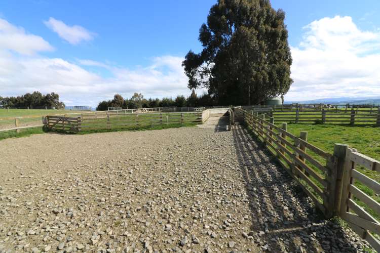 348 Keppoch Road West Otago Surrounds_10