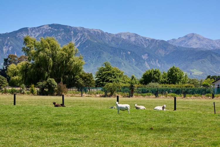 30a Mill Road Kaikoura_29