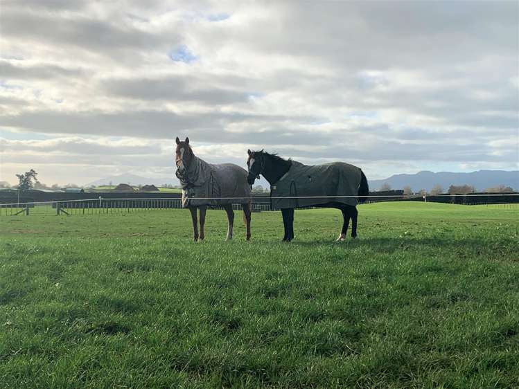 19 Puketutu Road Matamata_22