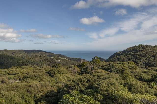 13 Acres of Pristine Lifestyle Land - Karekare