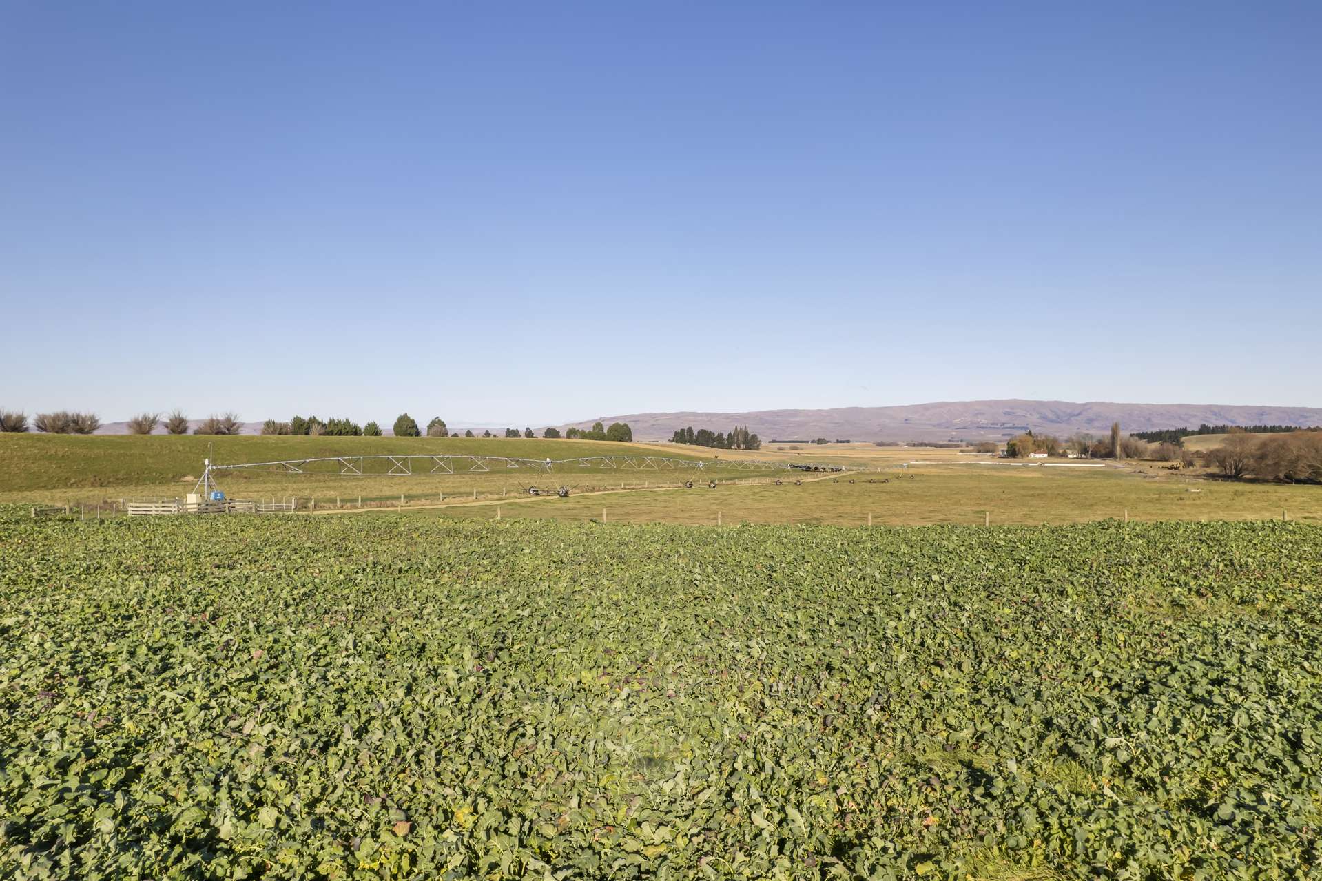 513 Bypass Road Ranfurly_0