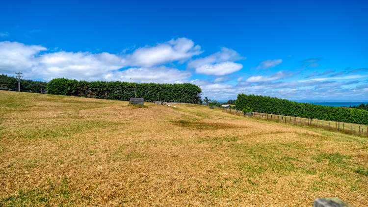 353 Rangiputa Road Karikari Peninsula_92