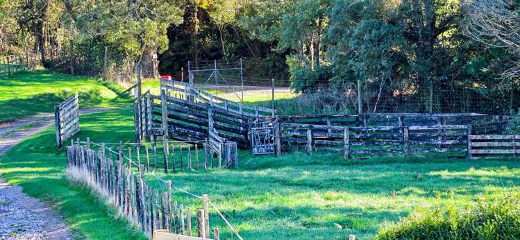 271 Endean Road Ngongotaha Valley_16