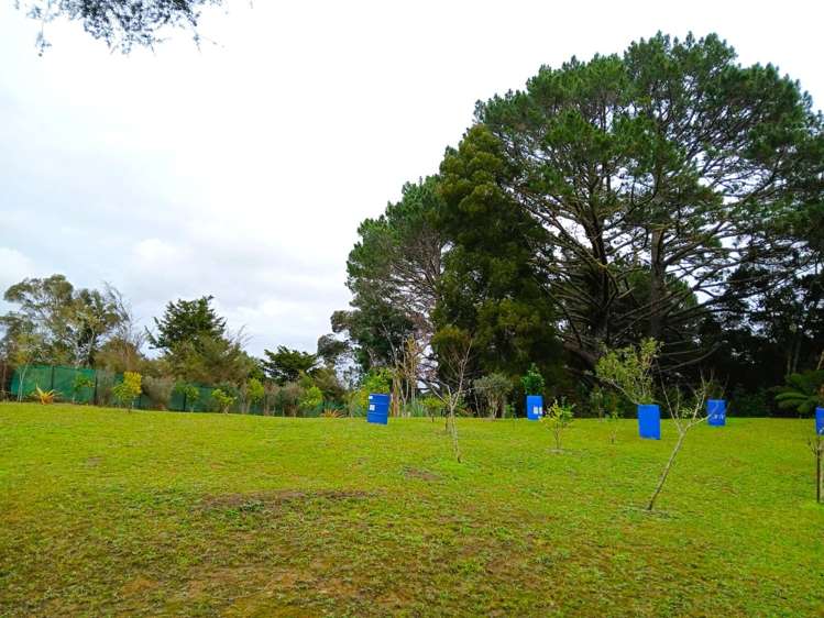 969 Broadwood Road Broadwood_9