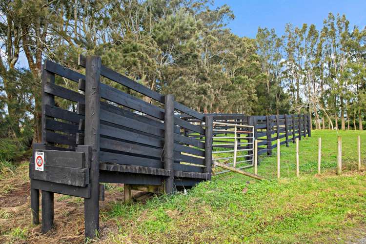 440 Seagrove Road Waiau Pa_25