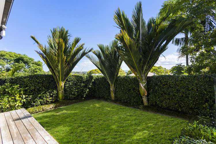 17 Clarence Street Ponsonby_9