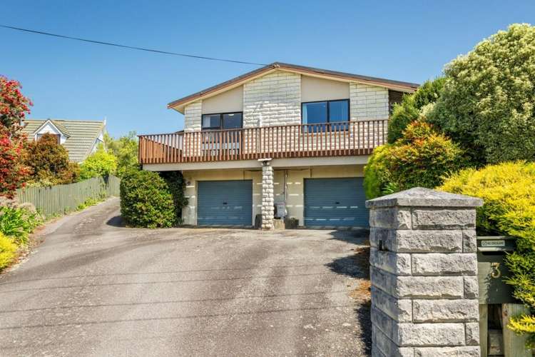 3 Wilson Street Renwick_21