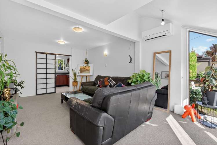 3B Pukatea Street Eastbourne_9