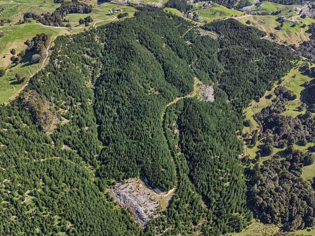 Hoyle Road and Wainui Road Arapohue_3