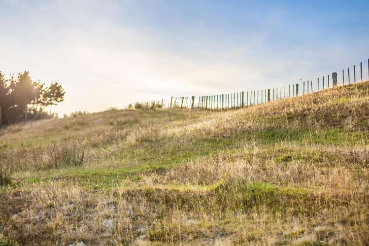 Lot 2/269 Grays Road Pauatahanui_9