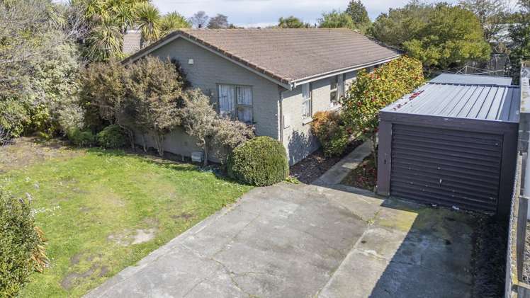 19 Jenkins Avenue Redwood_3