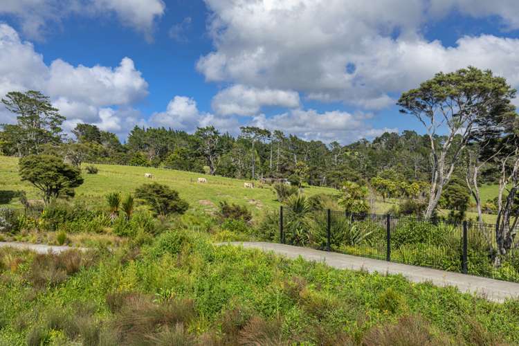 36 Taiororua Avenue Massey_19