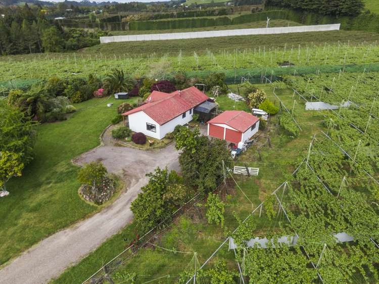 1399A No 3 Road Te Puke Western Bay Of Plenty Rural Property For