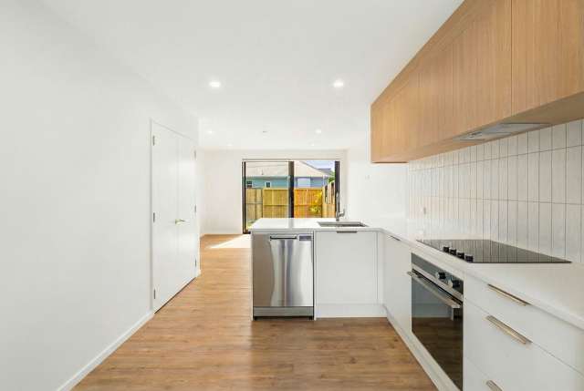 18 Feilding Street Addington_1