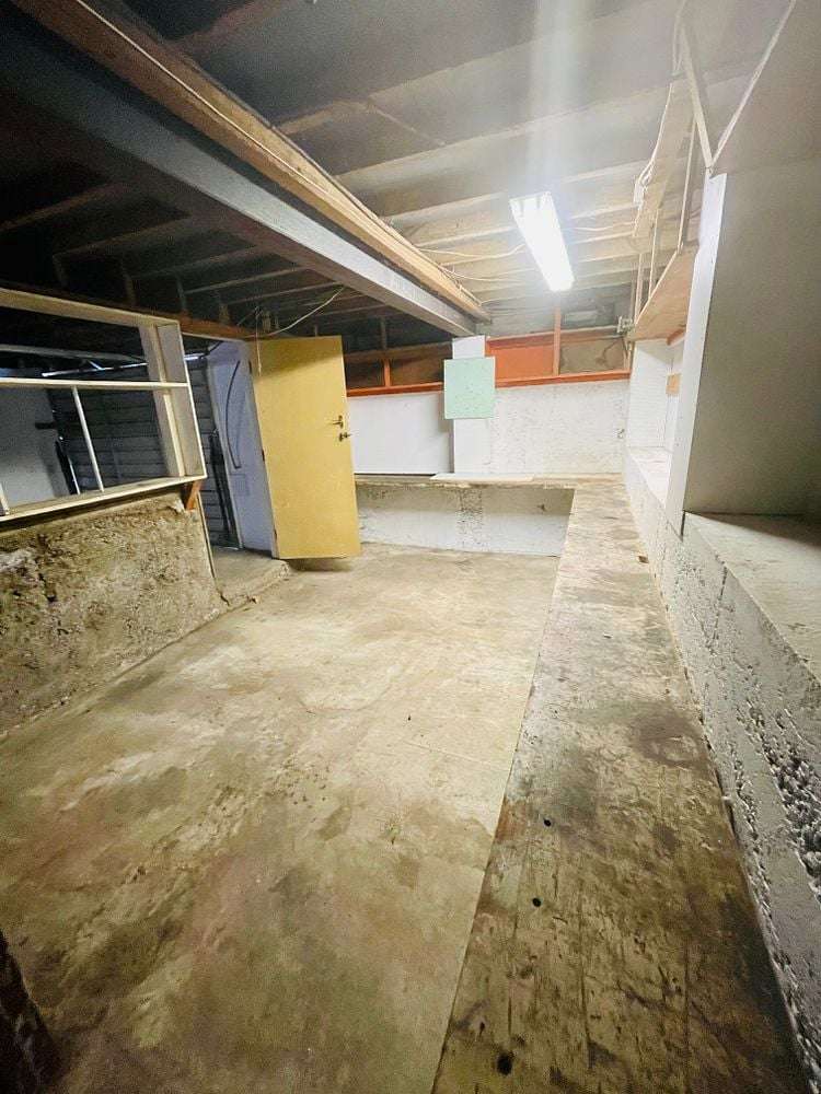 88 Carrington Street Lower Vogeltown_19