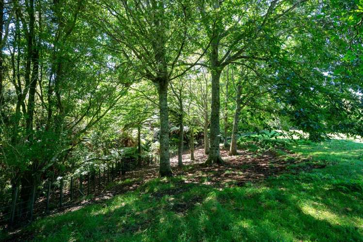 1a Central Road Ngongotaha_31