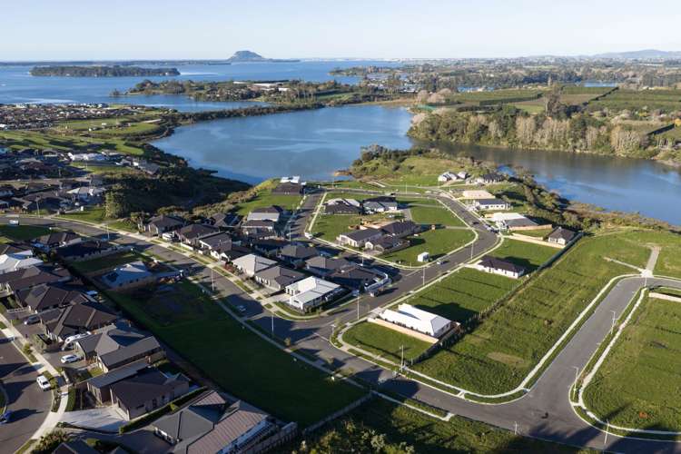 Lot 151/8 Flounder Drive Omokoroa_22