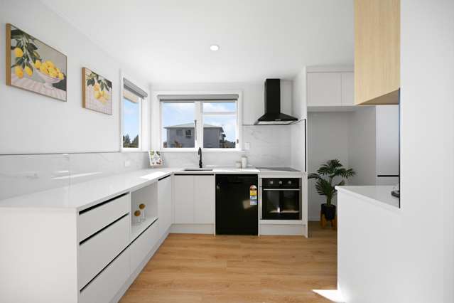 2 Roy Street Nawton_4