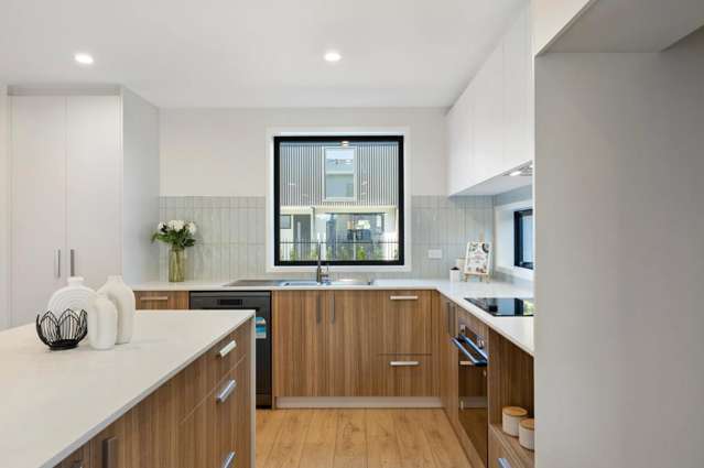 225 St. George Street Papatoetoe_2